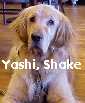 Yashi shakes hands, 12/98, Movie by Jim Lavery